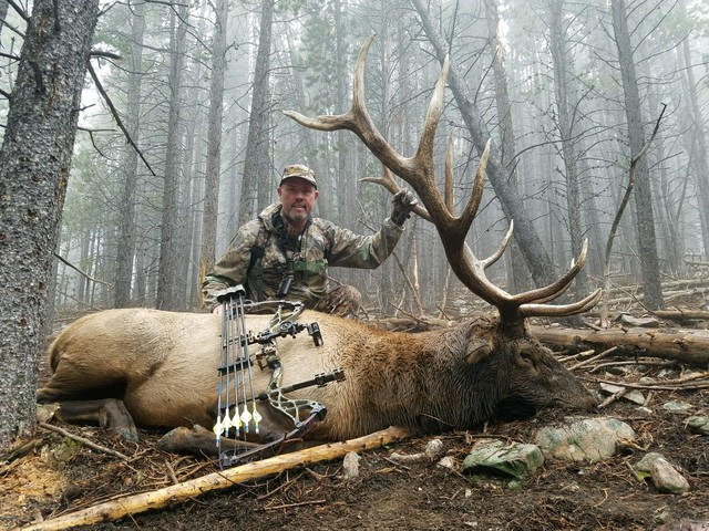 Colorado Private Land Elk Hunt Guaranteed Tags