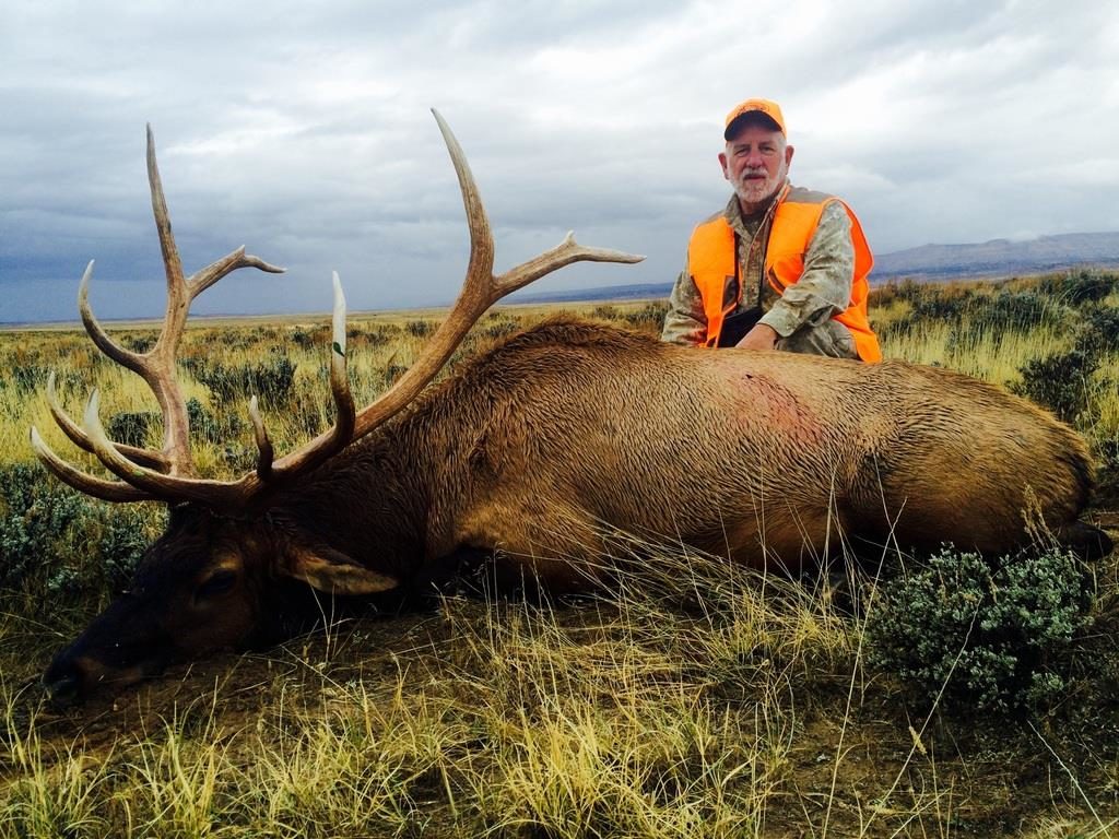 The Best Elk Hunting States