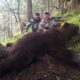 Things to consider before booking an Alaskan Brown Bear Hunt