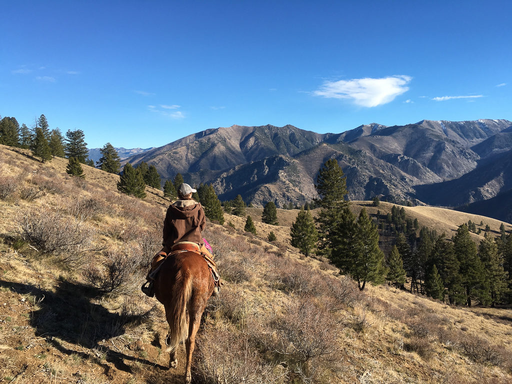 Hunting, Ethics, and Conservation: How To Leave No Trace