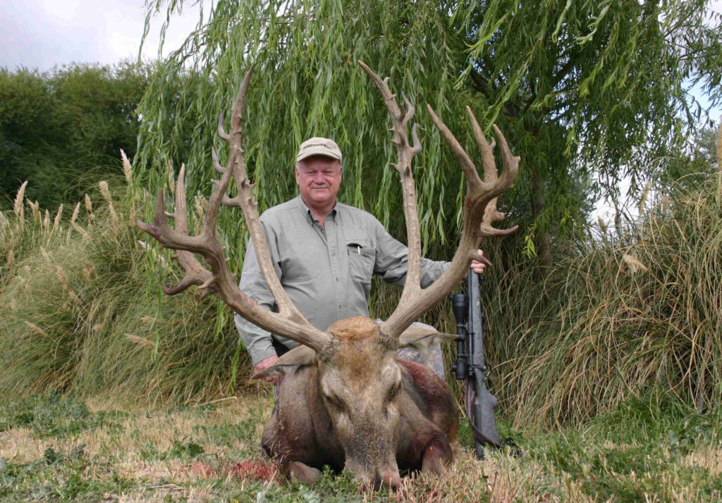 Argentina Red Stag