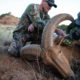 Guided Aoudad Hunting