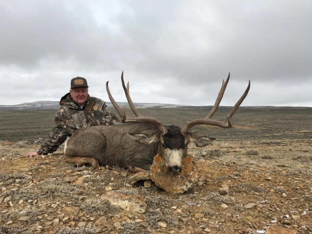 Colorado guaranteed mule deer tag