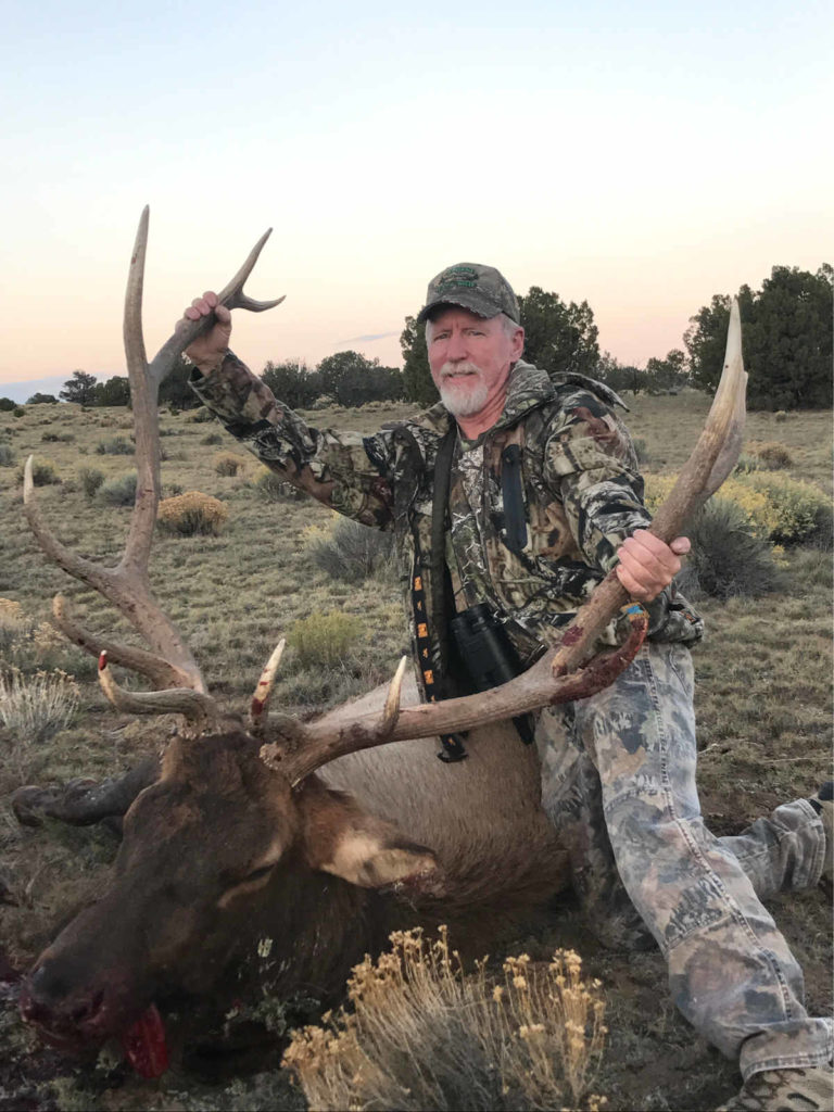 New Mexico Elk Hunt Top End Adventures