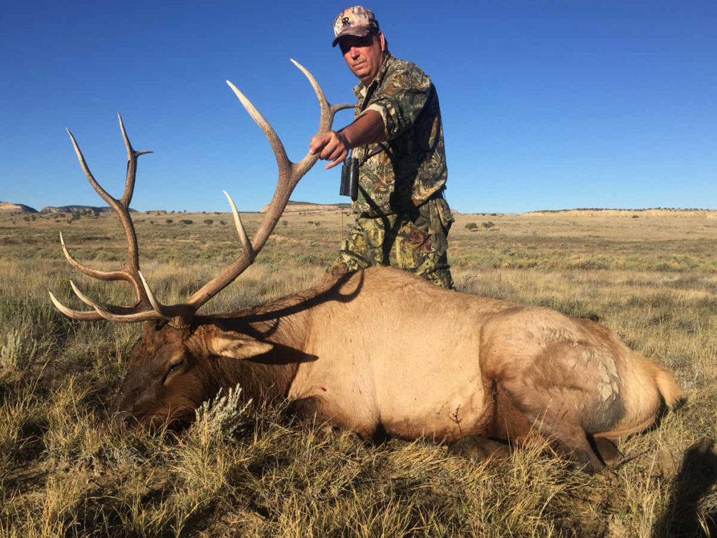 guided-elk-hunt-new-mexico-1200