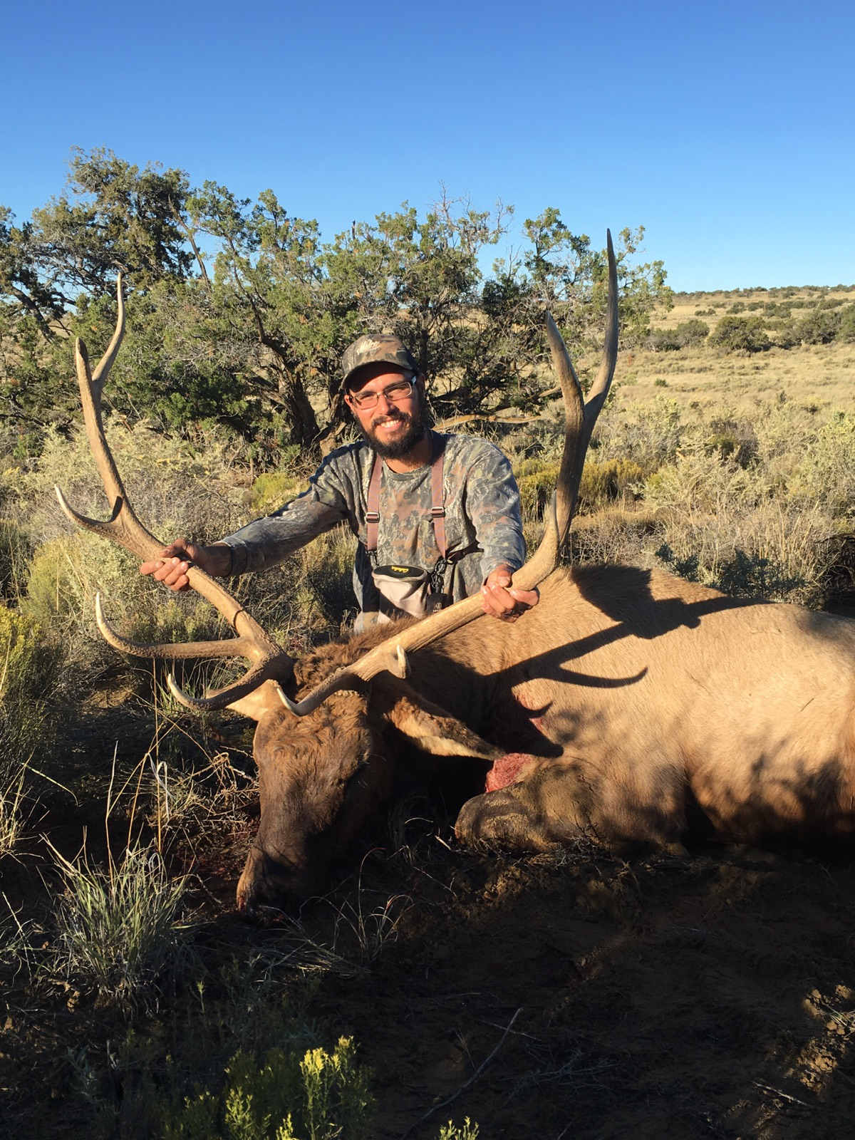 Idaho Elk Tags 2024 - 4i5s6lt