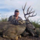 Arizona Mule Deer Hunt: Archery and Rifle