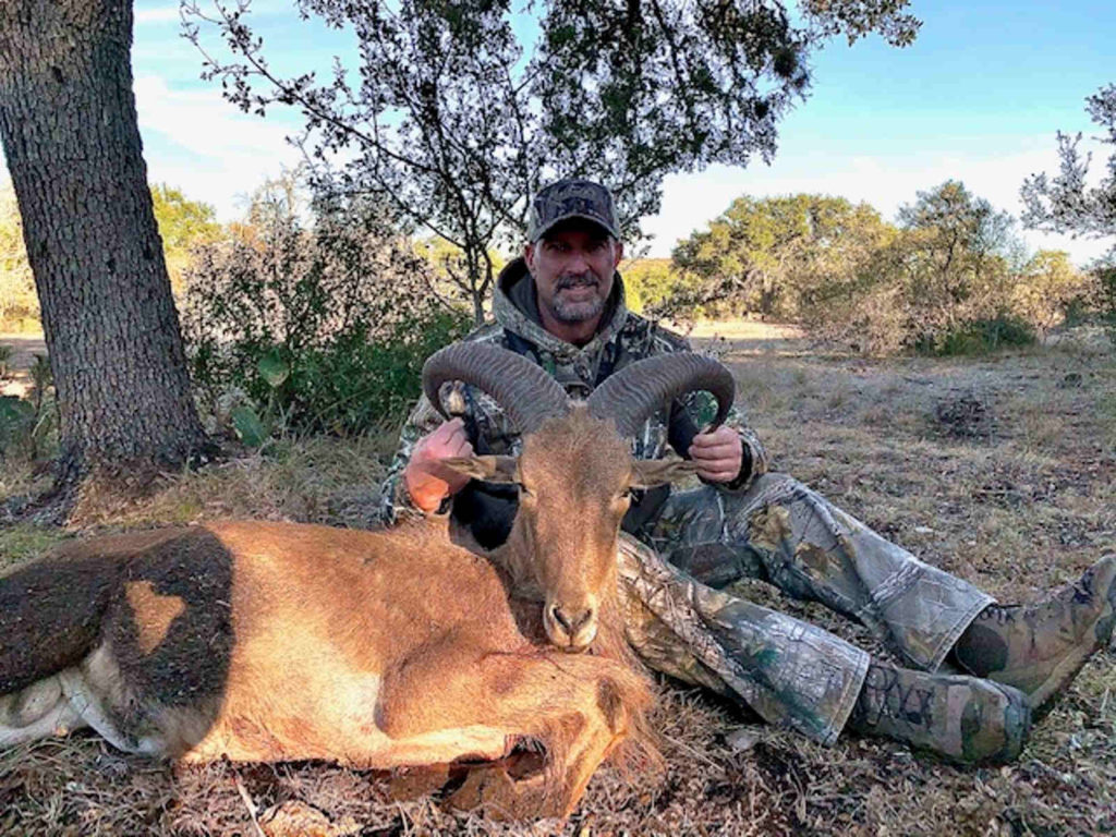 Texas Aoudad Hunt