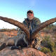 Spain Ibex Hunt