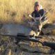 Arizona Coues Deer Hunt – Archery or Rifle