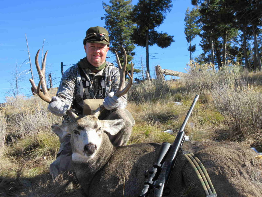 Idaho WIlderness Mule Deer