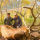 Utah Elk Hunt