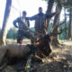 Washington Elk Hunt