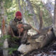 Idaho Mule Deer Hunt