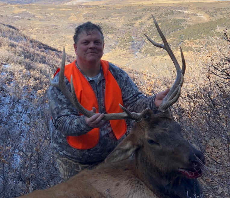 Colorado Forest Elk Hunt