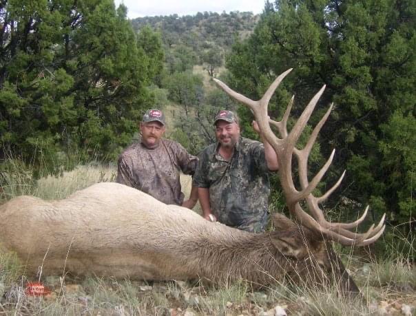 New Mexico Elk Hunt Guaranteed Tags