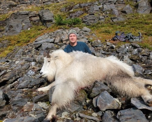 Alaska Goat Hunt