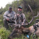 Colorado Guaranteed Tags Archery Elk Hunt