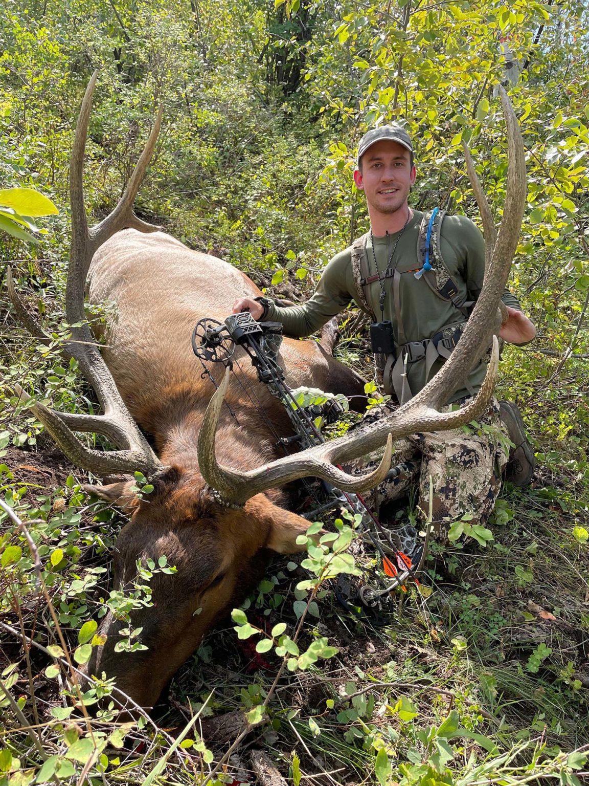 Trip Report Colorado Archery Elk 2021 Top End Adventures