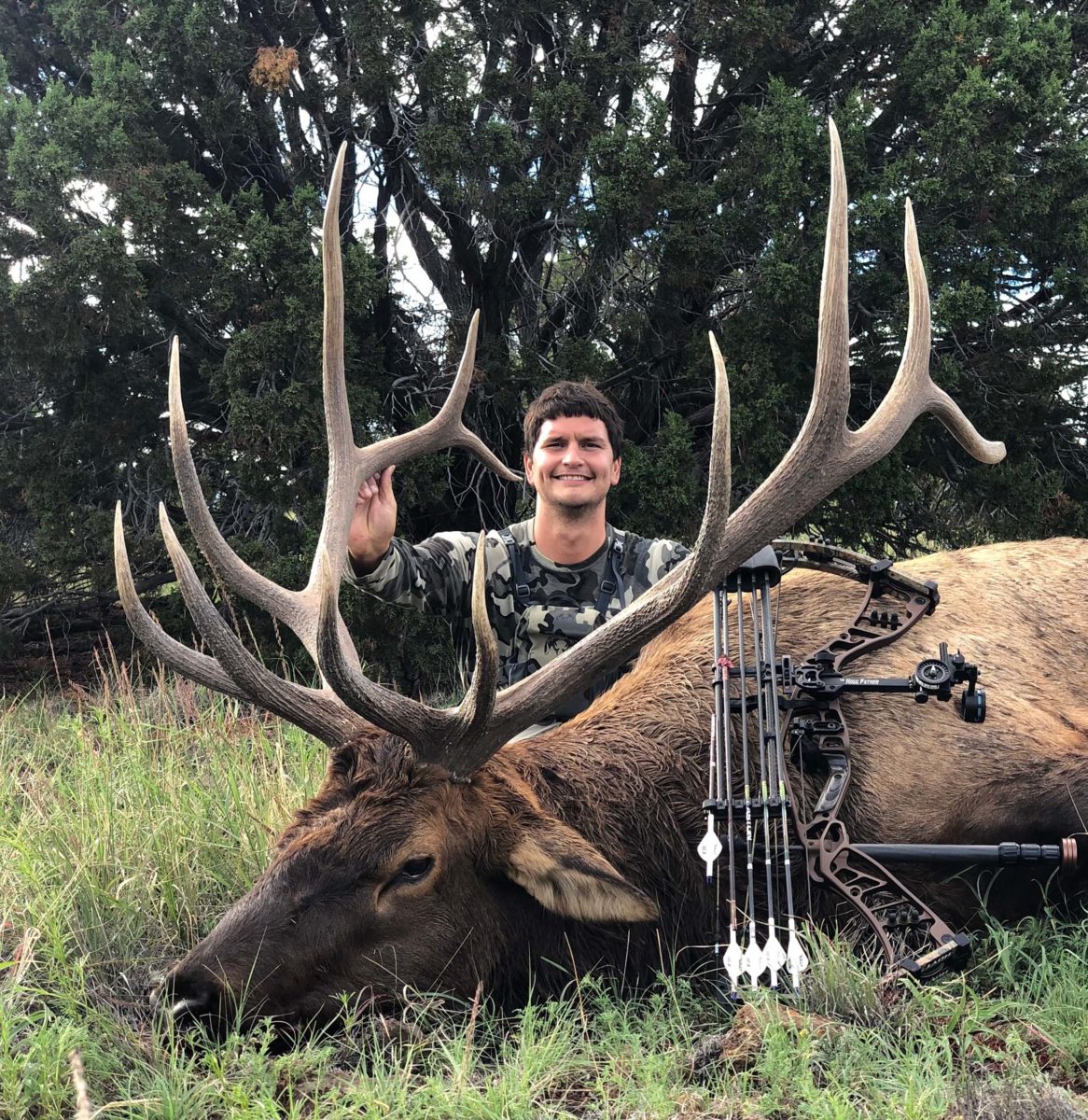 Trip Report New Mexico Elk Hunt Guaranteed Tags Top End Adventures