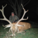 Argentina Red Stag Hunt & More