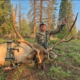 Archery Keys To Success For New Elk Hunters: Tip 4