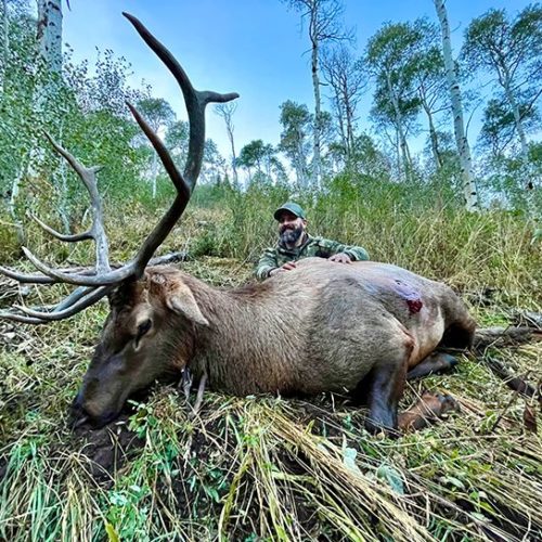 Trip Report: Colorado Elk Hunt and Guaranteed Tags - Josh Randle