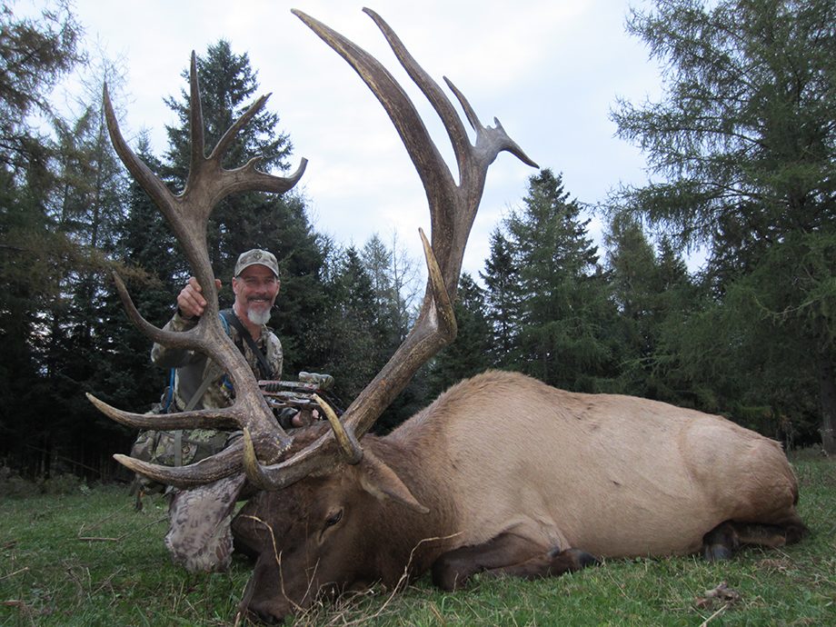 High Fence Elk Hunting and Why Canada is Best Value Place To Go