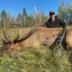 High Fence Elk Hunting