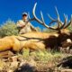 High Success New Mexico Elk Hunt