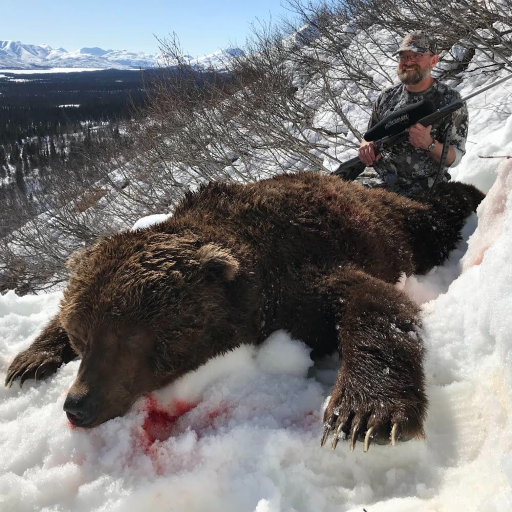 Brown Grizzly Bear Hunt