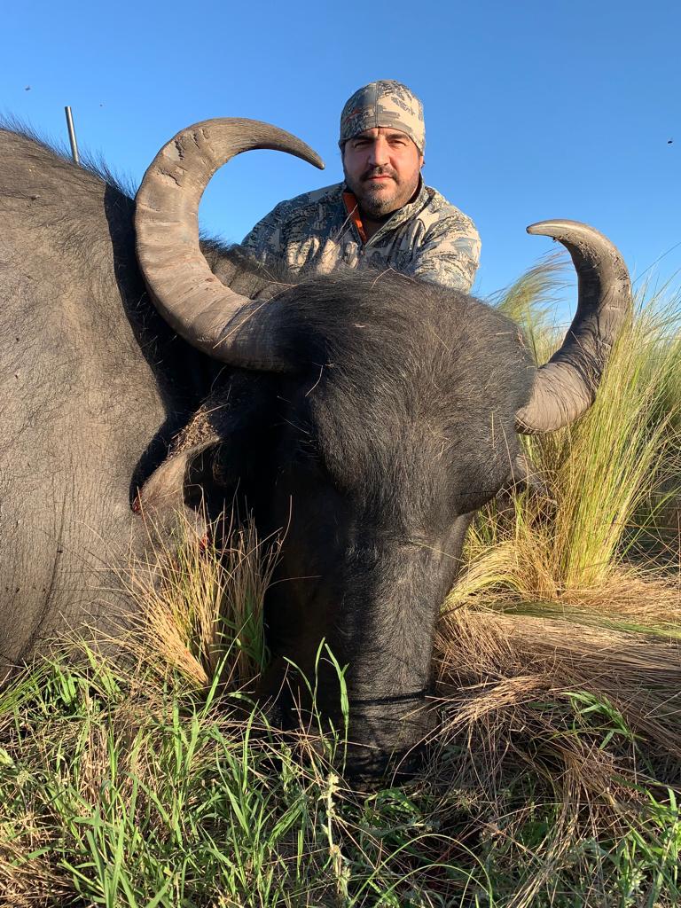 Water Buffalo Hunts Top End Adventures