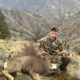 Trip Report Mule Deer By Josh Terrell
