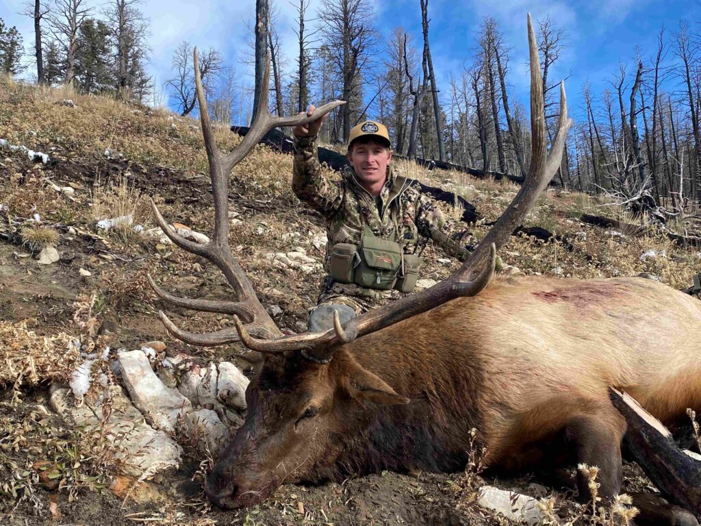 Utah Wilderness Archery Elk Hunt - Archery Bull Elk with hunter.