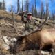 Utah Wilderness Archery Elk Hunt