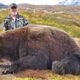 Alaska Brown Bear Hunt