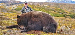Alaska Brown Bear Hunt - Top End Adventures Alaska Brown Bear Hunt