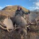 Western Alaska Range Moose Hunt