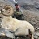 Alaska Chugach Dall Sheep Hunt