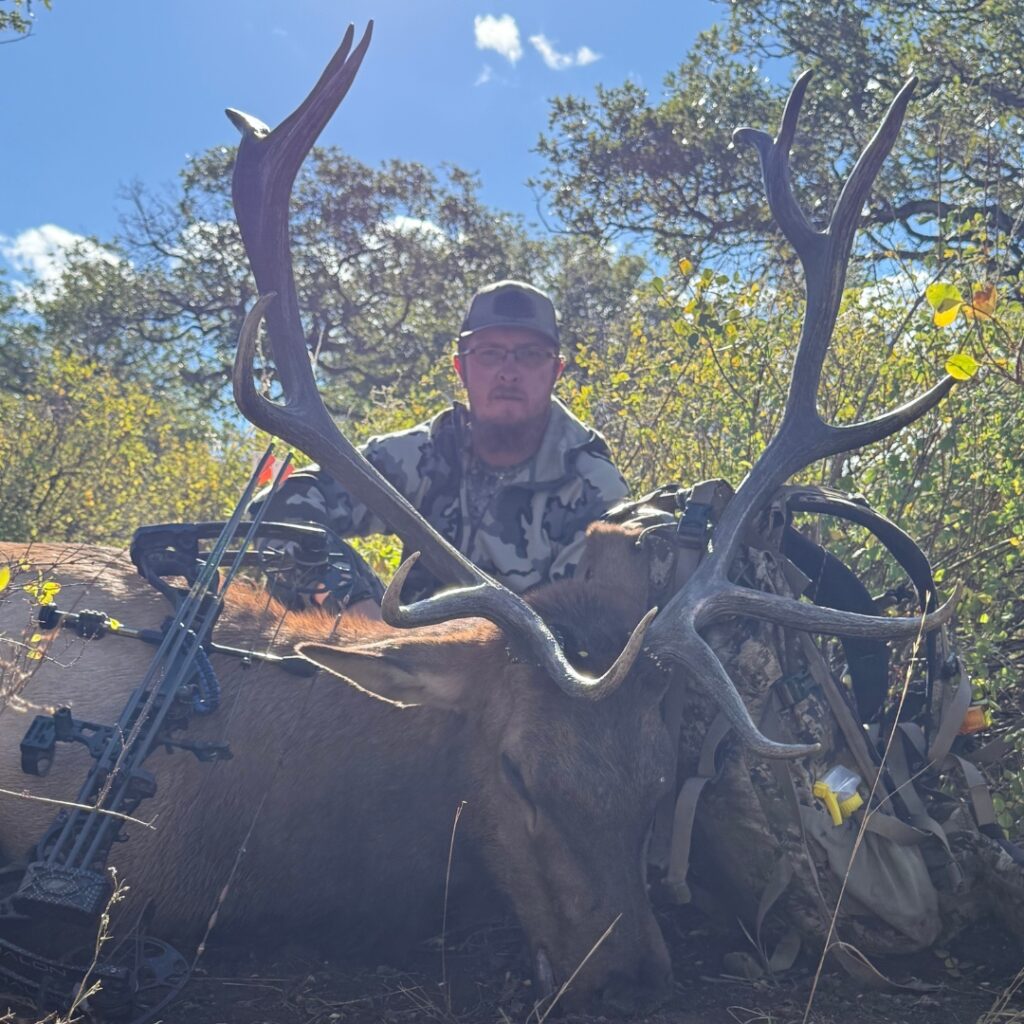 Colorado Forest Elk Hunt