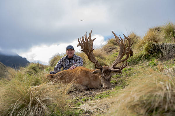 New Zealand Red Stag Hunt