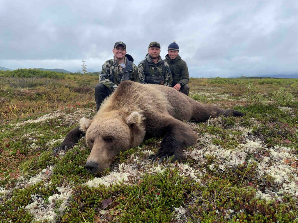 Alaskan Brown Grizzly Fall Bear Hunt